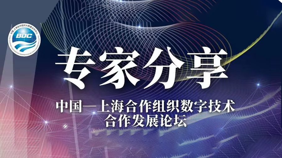 红有软件何芳：深化大数据技术应用，高质量赋能油田数字化转型