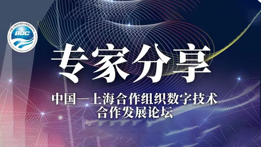 五洲汉风王锦红：技术赋能、模式创新，推动国际中文教育数字资源共建共享
