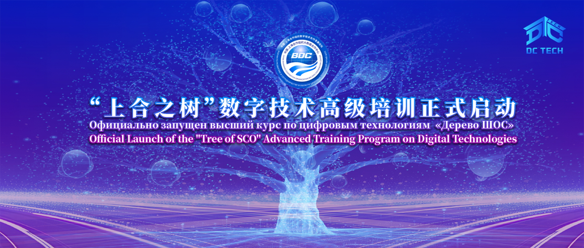 2025“上合之树”数字技术高级培训成功举办 ——深化上合组织数字合作与人才培养